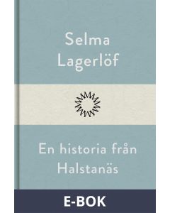 En historia från Halstanäs, E-bok