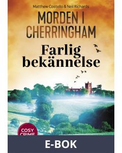 Farlig bekännelse, E-bok
