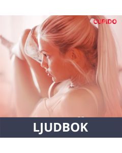Huoltokäynti - eroottinen novelli, Ljudbok