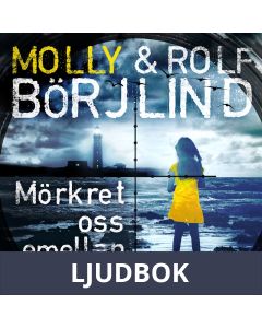 Mörkret oss emellan - 4, Ljudbok