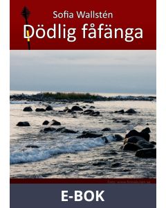 Dödlig fåfänga, E-bok