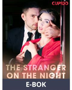 The Stranger on the Night Train, E-bok