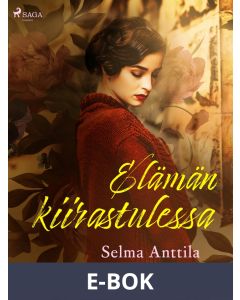 Elämän kiirastulessa, E-bok