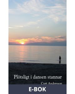 Plötsligt i dansen stannar, E-bok