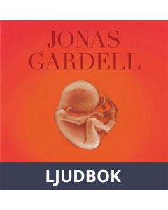 Ett ufo gör entré, Ljudbok