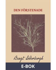 Den förstenade, E-bok