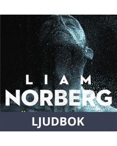 Nästan framme, Ljudbok