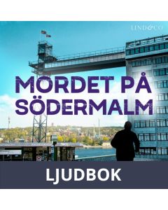 Mordet på Södermalm , Ljudbok