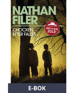 Chocken efter fallet, E-bok