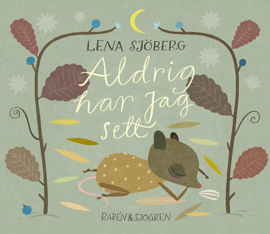 Aldrig Har Jag Sett