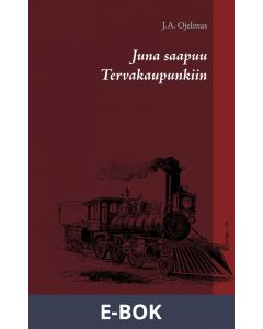 Juna saapuu Tervakaupunkiin: Historiallinen romaani, E-bok