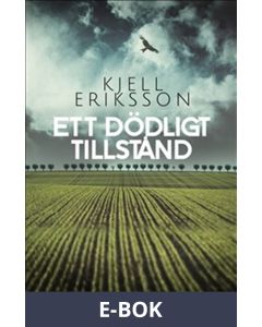 Ett dödligt tillstånd, E-bok