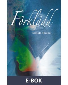 Förklädd, E-bok