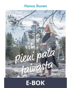 Pieni pala taivasta: Äiti ja poika, E-bok