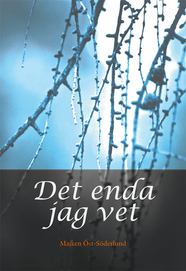 Det Enda Jag Vet