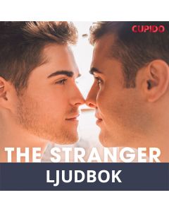 The Stranger on the Bus, Ljudbok