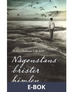 Någonstans brister himlen, E-bok