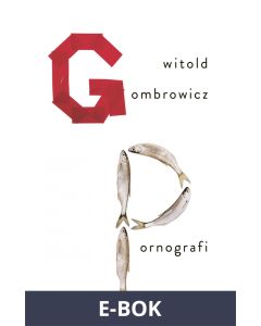 Pornografi, E-bok