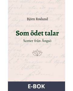 Som ödet talar: Scener från Ängsö, E-bok