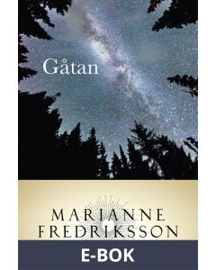 Gåtan, E-bok