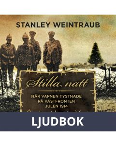 Stilla natt : När vapnen tystnade på västfronten julen 1914, Ljudbok