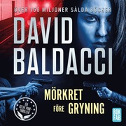 Mörkret före gryning