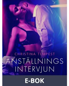 Anställningsintervjun - erotisk novell, E-bok