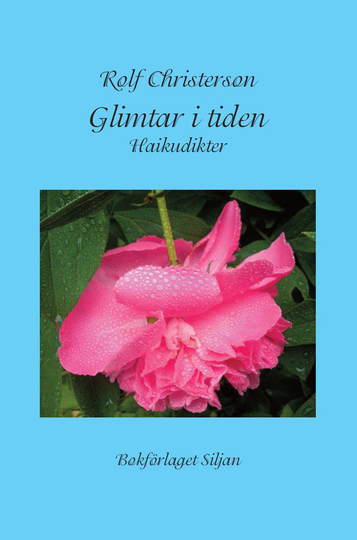 Glimtar I Tiden - Haikudikter