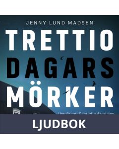 Trettio dagars mörker, Ljudbok