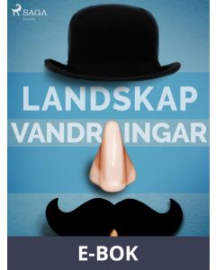 Landskap - vandringar, E-bok
