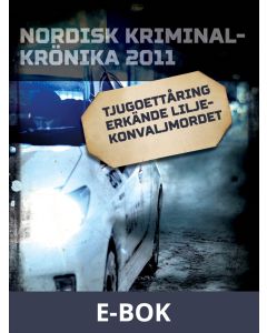 Tjugoettåring erkände liljekonvaljmordet, E-bok