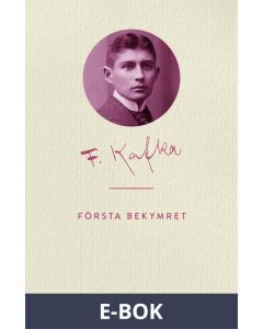 Första bekymret, E-bok
