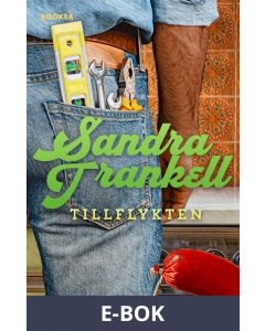 Tillflykten, E-bok