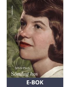 Söndag hos Mintons, E-bok