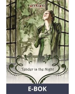 Tender is the Night, E-bok
