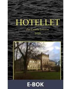 Hotellet: Mordet på en stallpojke Strandhotellet blir ett konsulat., E-bok