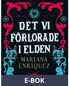 Det vi förlorade i elden, E-bok