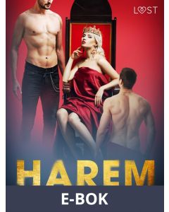 Harem - erotisk novell, E-bok