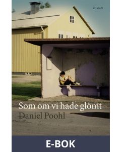 Som om vi hade glömt, E-bok