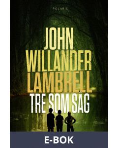 Tre som såg, E-bok
