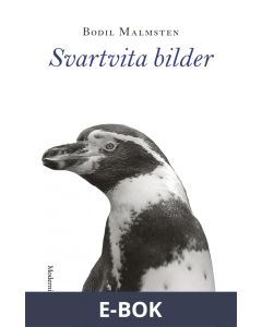 Svartvita bilder, E-bok