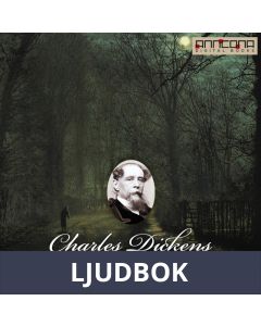 Great Expectations, Ljudbok