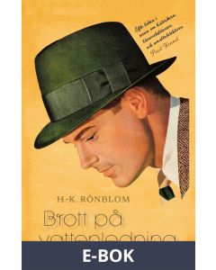 Brott på vattenledning, E-bok