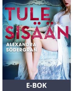 Tule sisään - eroottinen novelli, E-bok