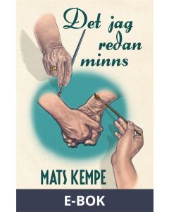 Det jag redan minns : en roman i 16 noveller, E-bok
