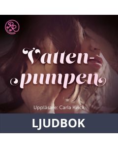 Vattenpumpen, Ljudbok