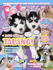 Tidningen Pets 9 nummer