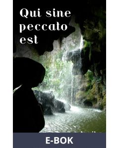 Qui sine peccato est, E-bok