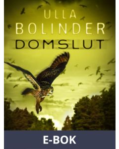 Domslut, E-bok