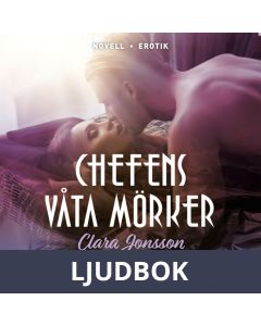 Chefens våta mörker, Ljudbok